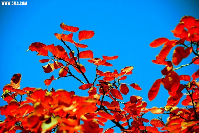 _MG_9371.jpg