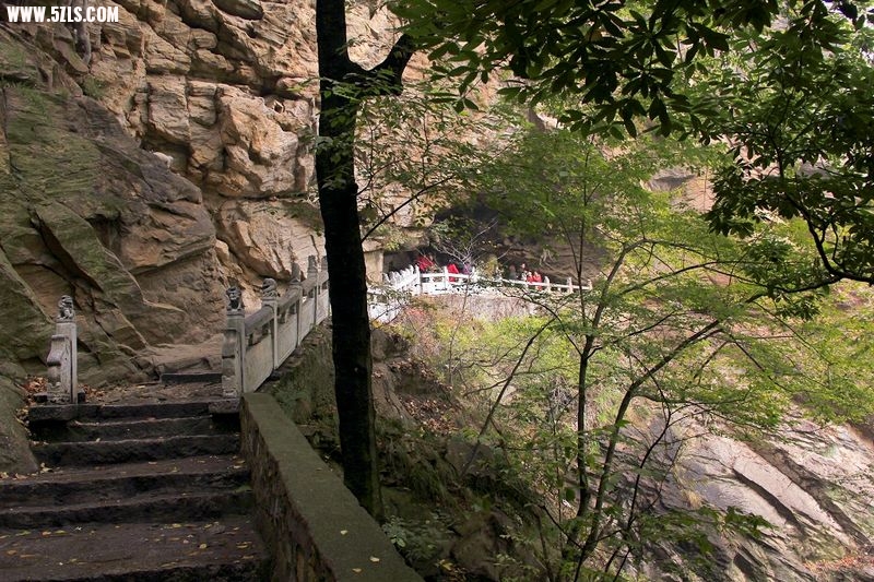 _MG_8755.jpg