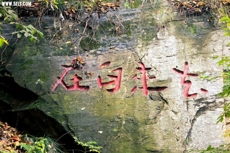 _MG_8797.jpg
