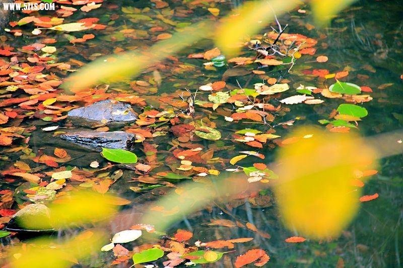 _MG_8819.jpg