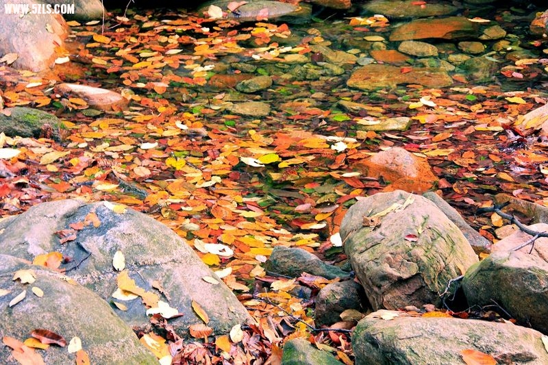 _MG_8885.jpg