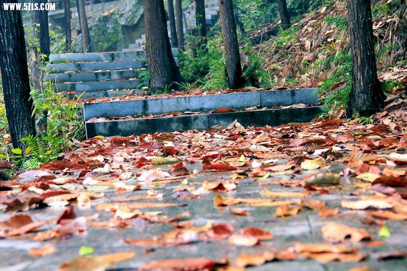_MG_8892.jpg