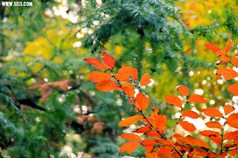 _MG_8948.jpg