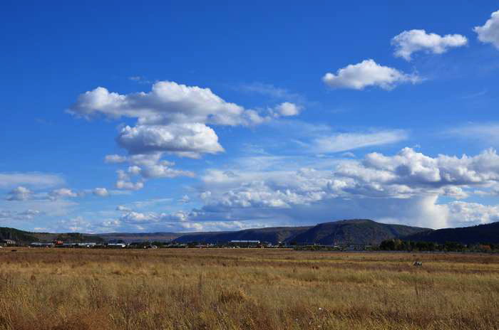 DSC_0633.jpg