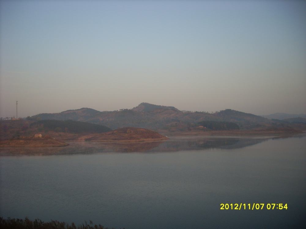 SL381361.JPG