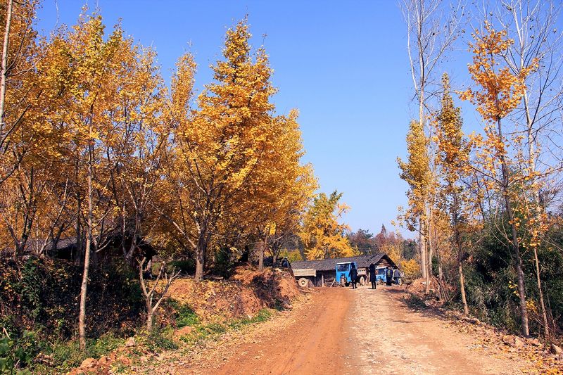 _MG_9671.jpg