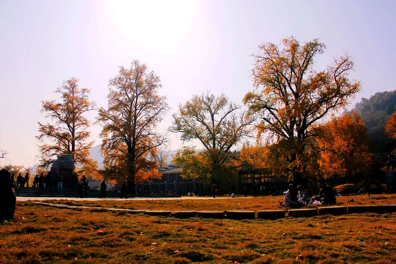 _MG_9833.jpg