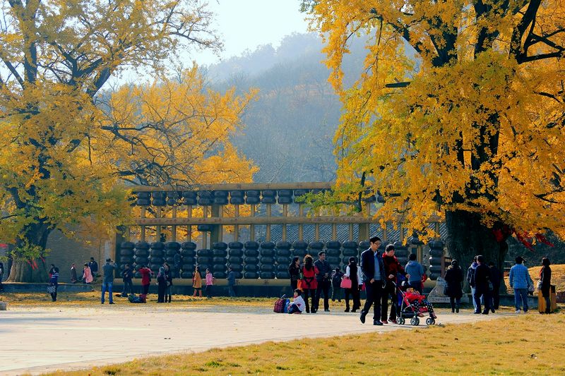 _MG_9837.jpg