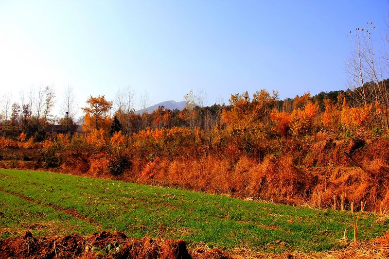 _MG_9825.jpg