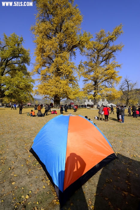 _DSC5288_000.jpg