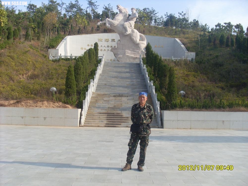 SL381385.JPG