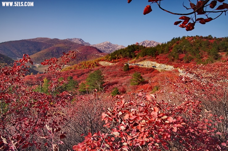 2012_11_17_0016-1.jpg