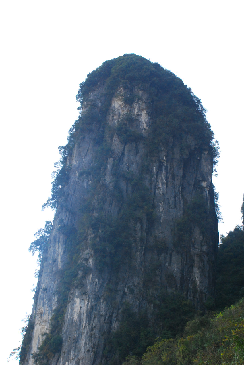 DSC_0029_.jpg