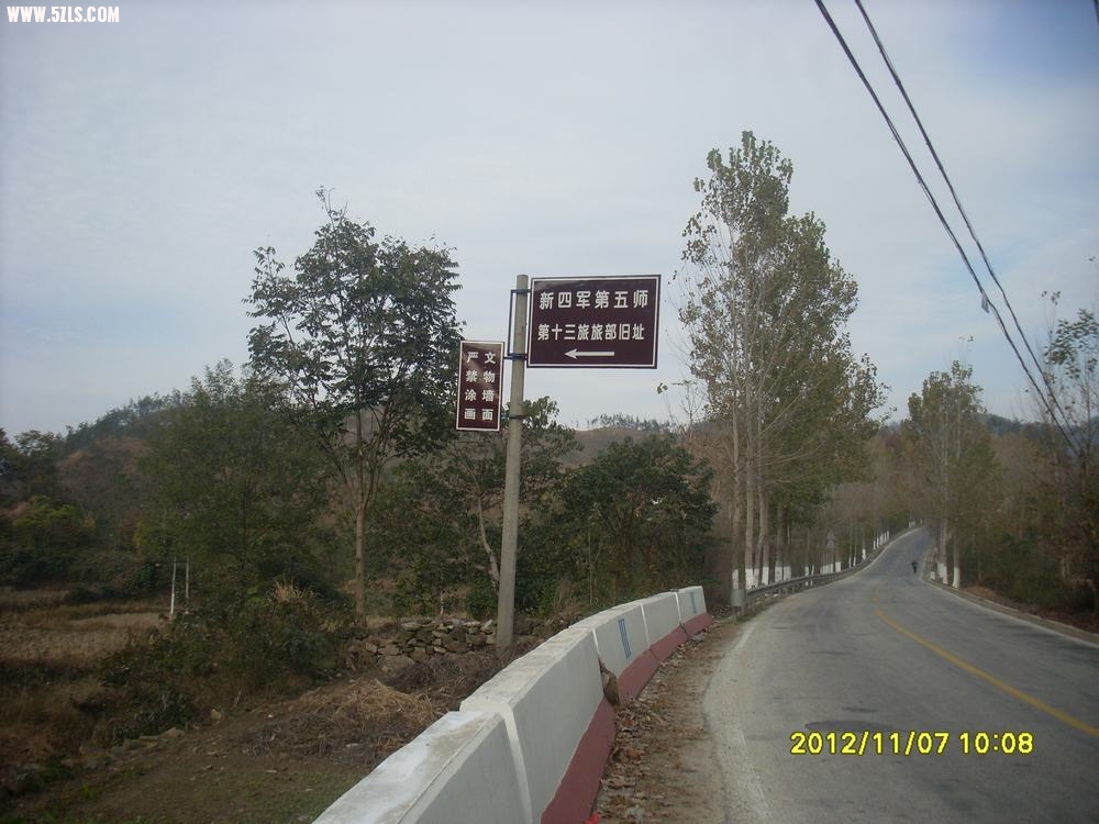 SL381396.JPG