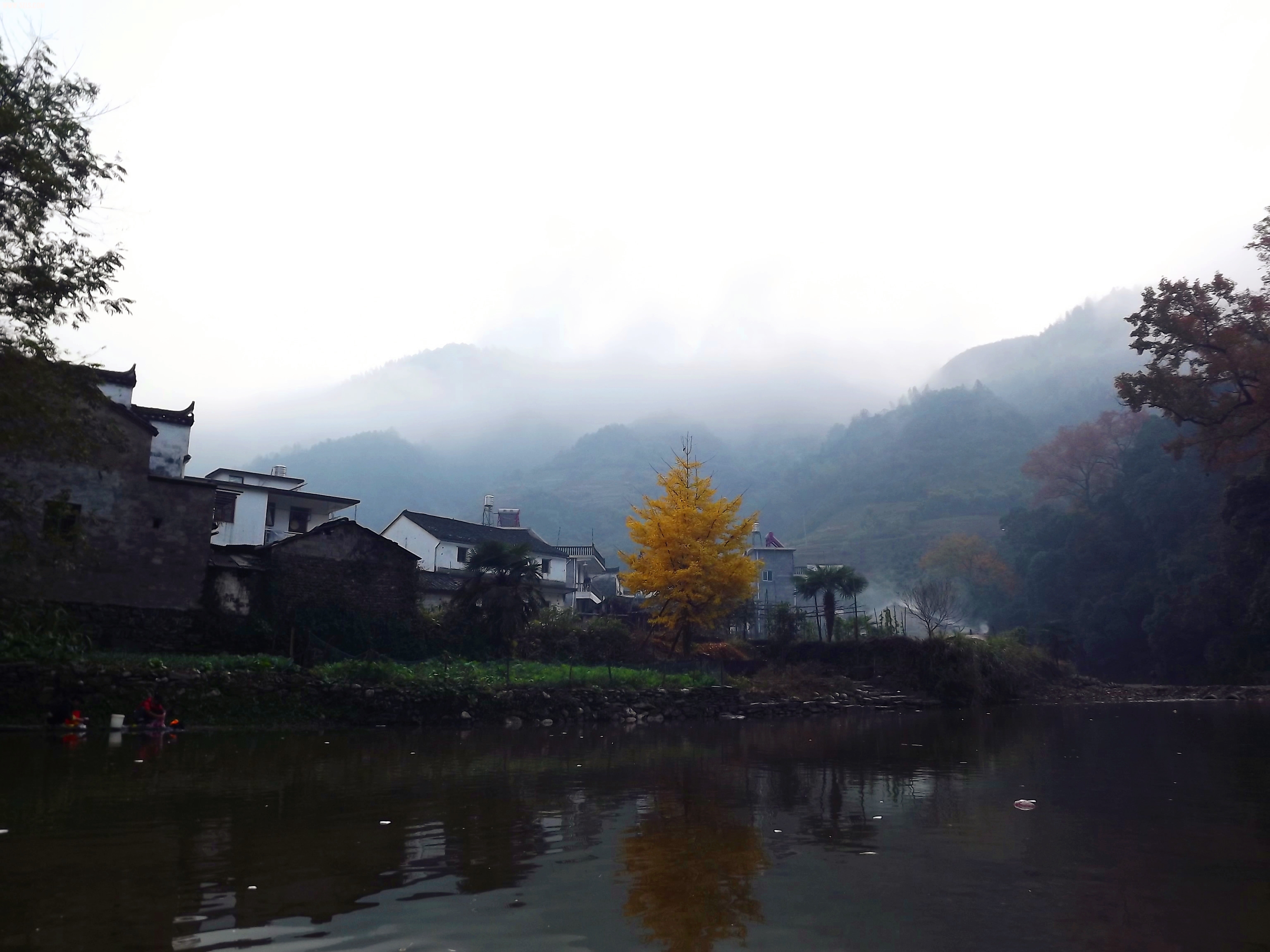 DSCF0816.jpg