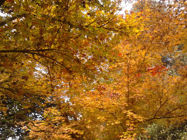 2012-11-20 11.40.48.jpg