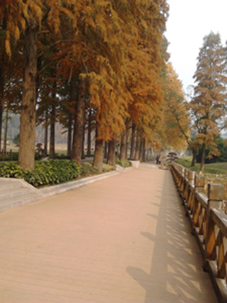 2012-11-20 10.09.16.jpg
