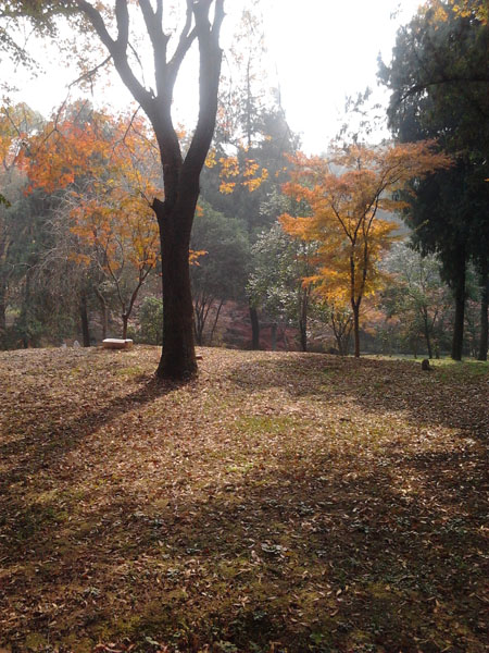 2012-11-20 11.35.07.jpg