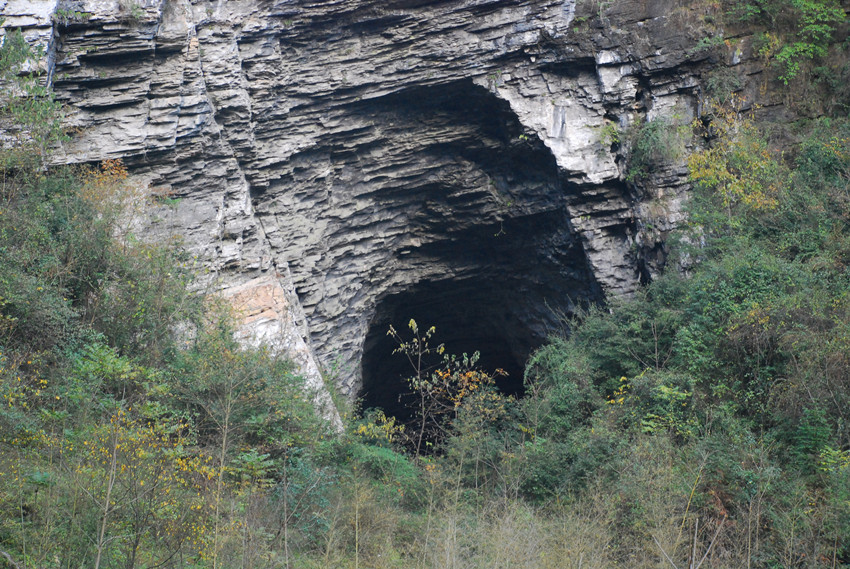 DSC_0040.jpg