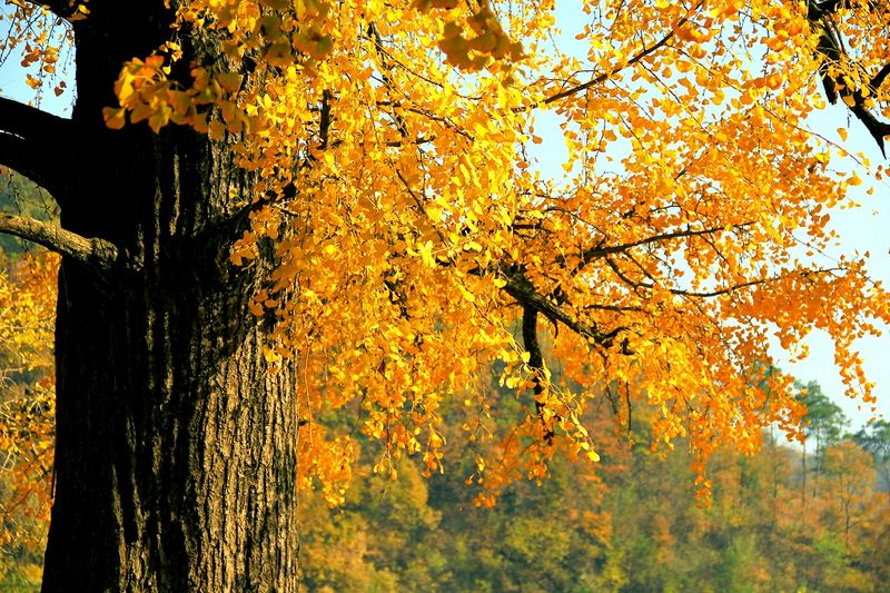 _MG_0021.jpg