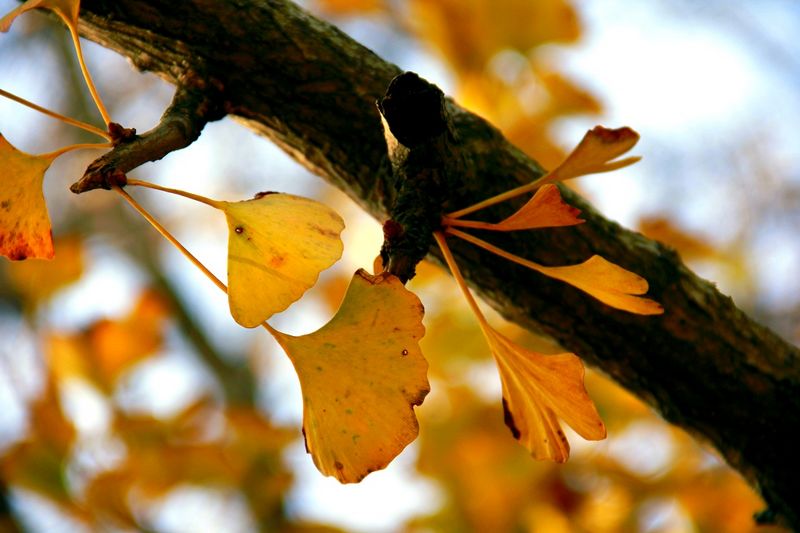 _MG_0101.jpg