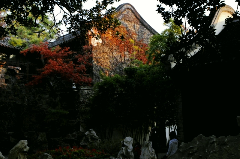 _MG_0222.jpg