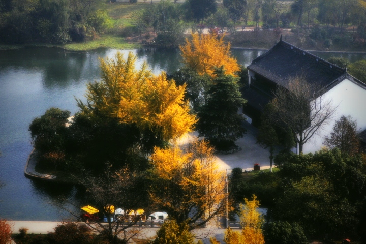 _MG_0315.JPG
