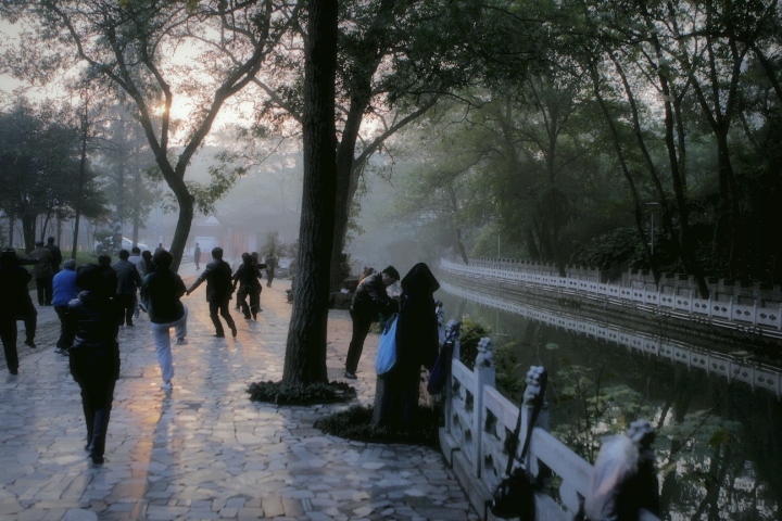 _MG_0005.JPG