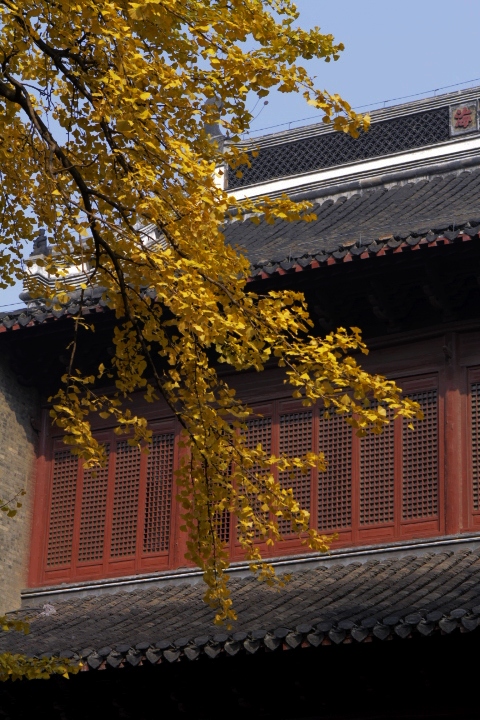 _MG_0070.jpg