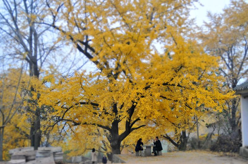 DSC_86321.jpg