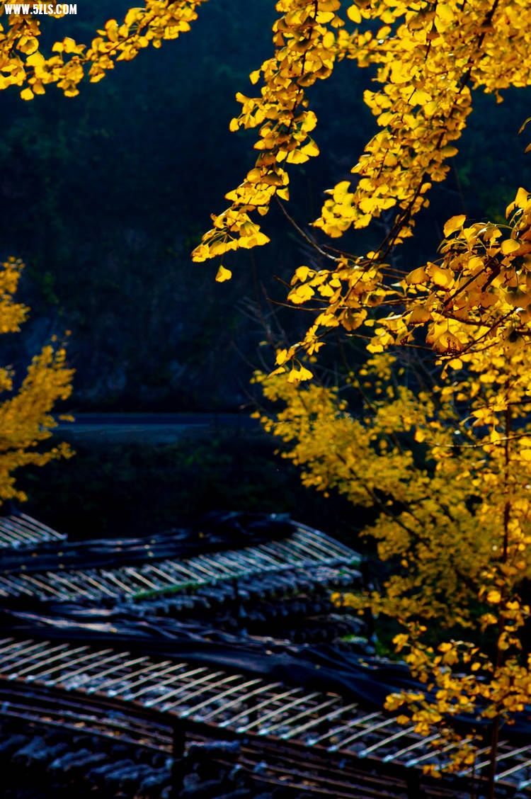 nEO_IMG_DSC04094-1.jpg