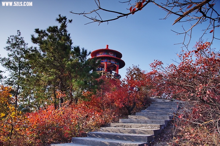 2012_11_17_0033.jpg