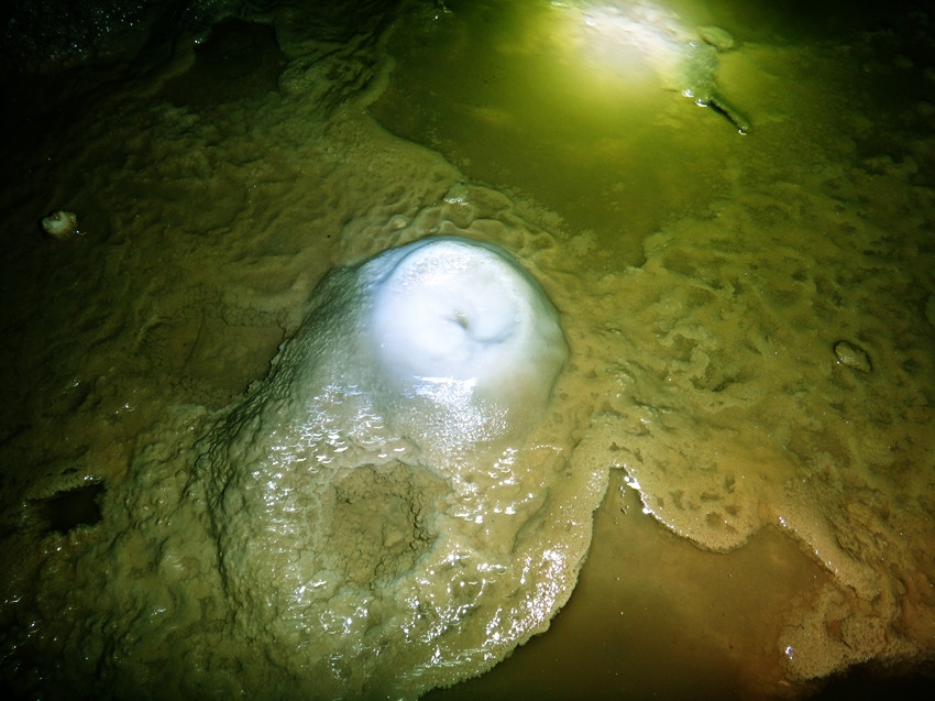 DSC01271_.jpg