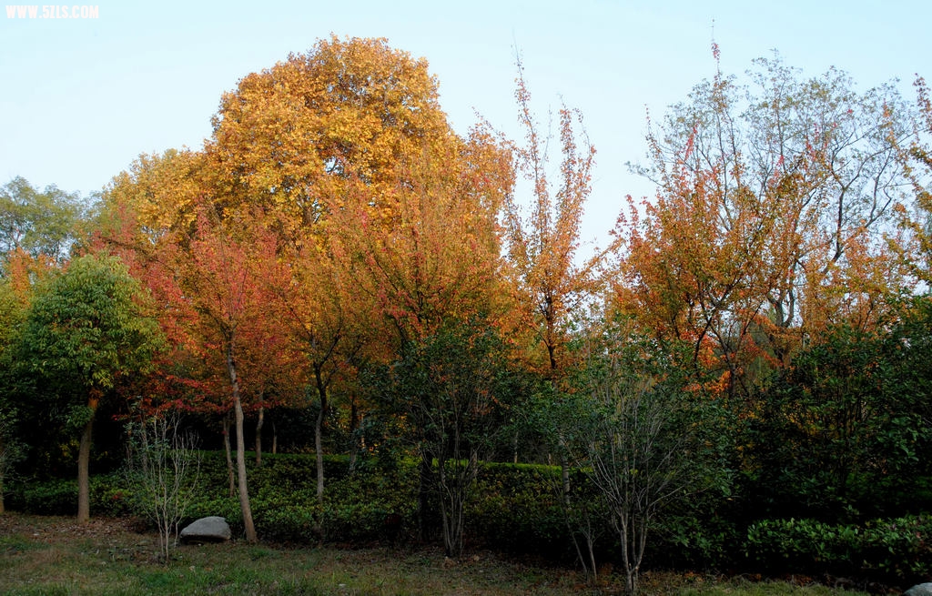 DSC_00251.jpg