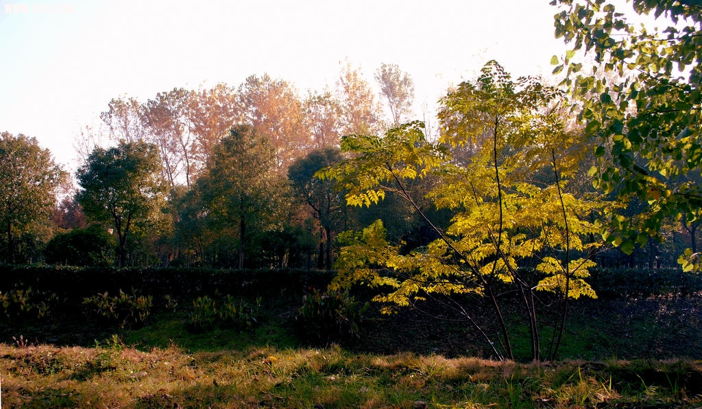 DSC_0336 (217).jpg
