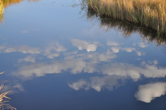 DSC_0216.jpg