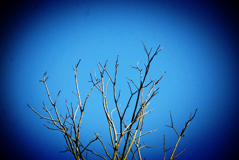 DSC_0181_.jpg