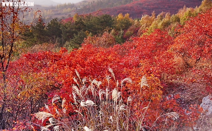 2012_11_17_0051.jpg