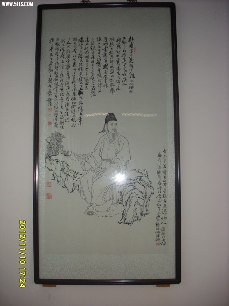 SL381437.JPG