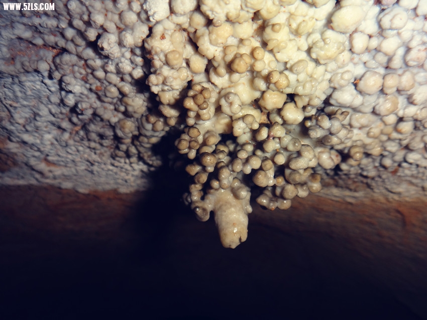 DSC01297_.jpg