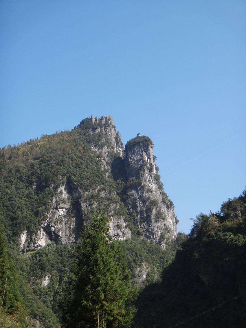 DSC01409_.jpg
