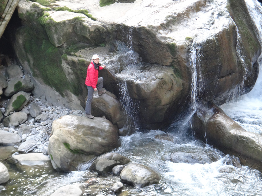 DSC01354_.jpg