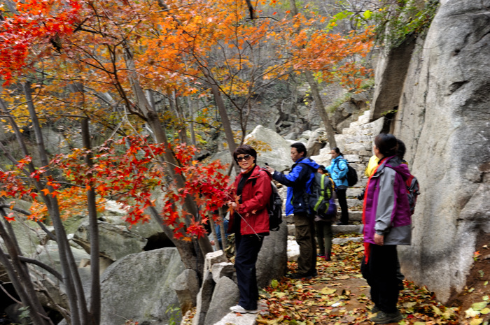 _DSC6020.jpg