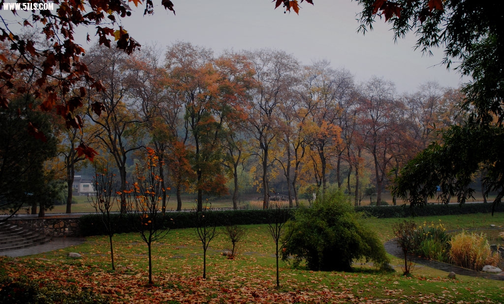 DSC_037411.jpg