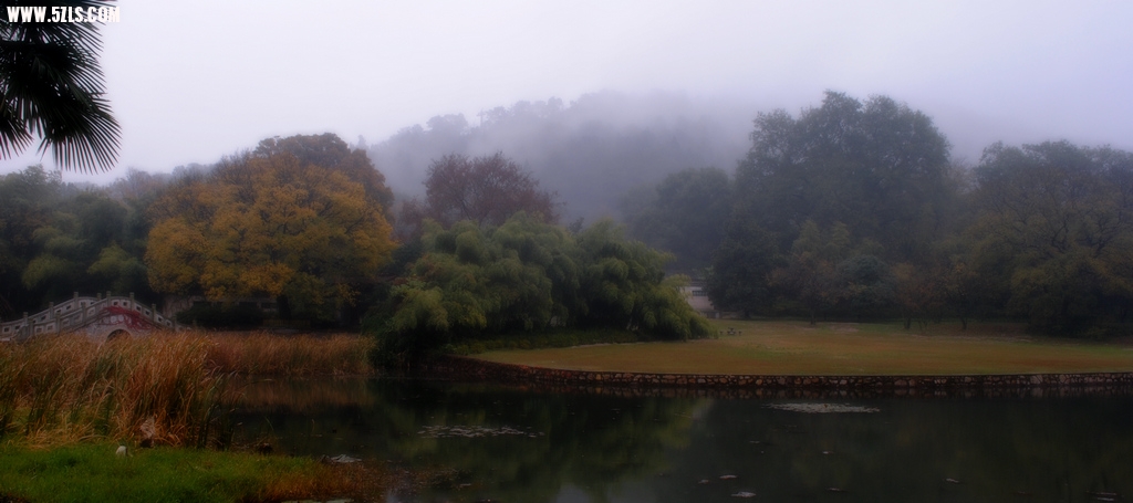DSC_04161.jpg