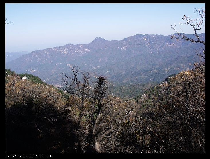 DSCF2963.jpg