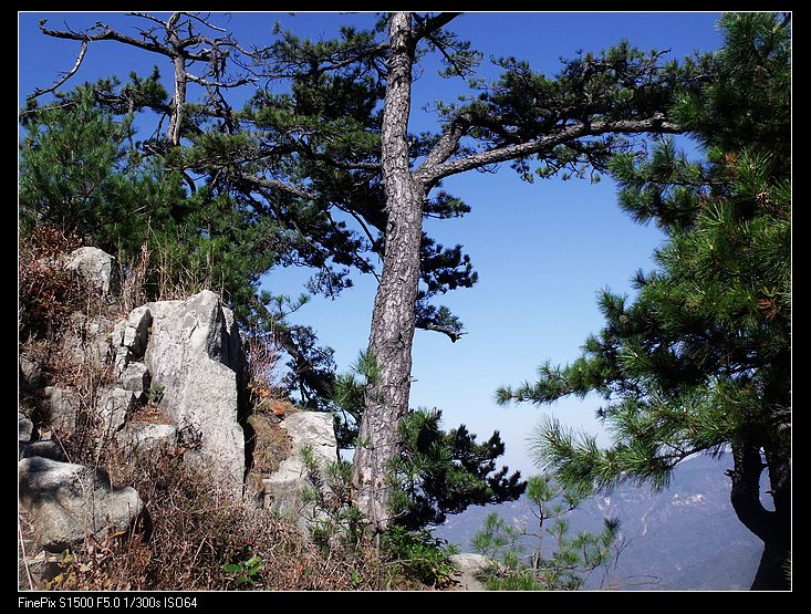 DSCF2977.jpg