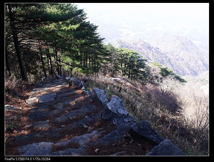 DSCF2990.jpg