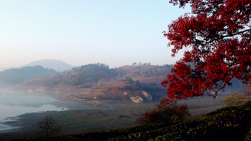 P1160172__.jpg