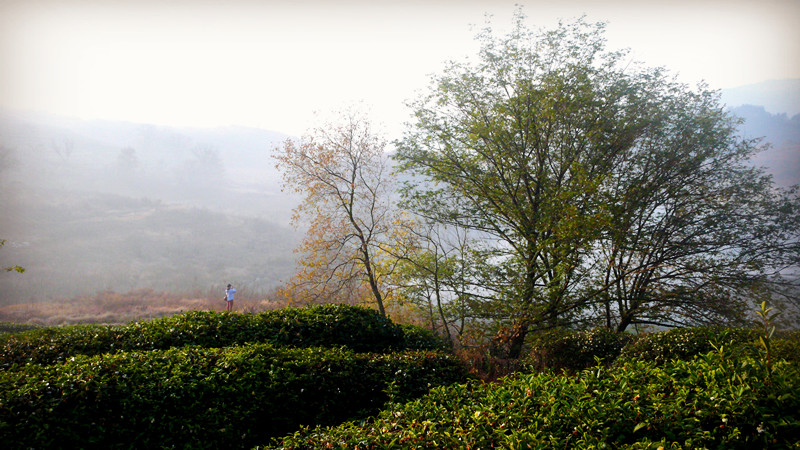P1160170_.jpg